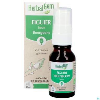 HERBALGEM FIGUIER BIO SPR 15ML