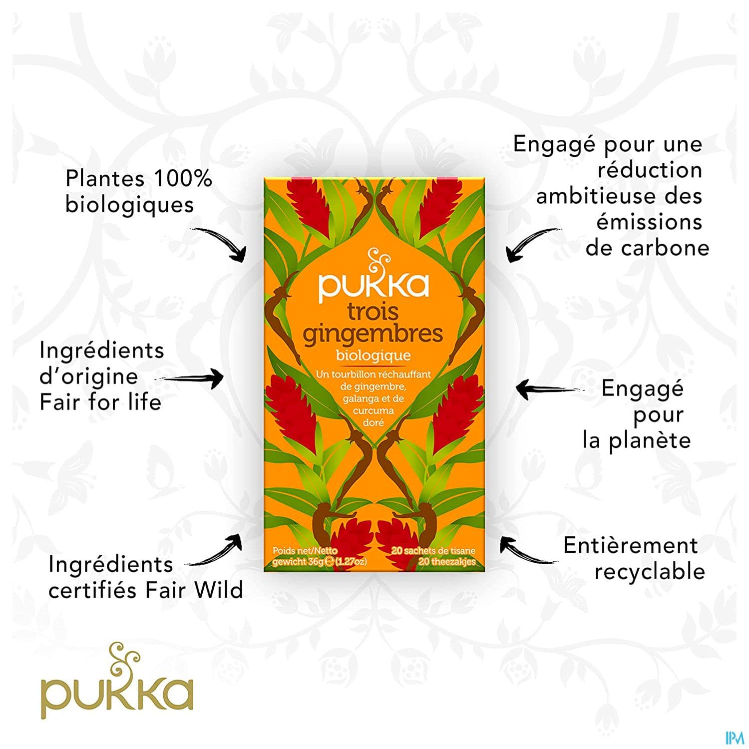Pukka Infusion 3 Gingembres Bio Sachet 20