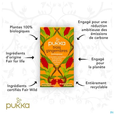 Pukka Infusion 3 Gingembres Bio Sachet 20