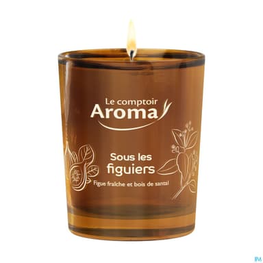 Le Comptoir Aroma Bougie Parfumee Ombre Des Figuiers