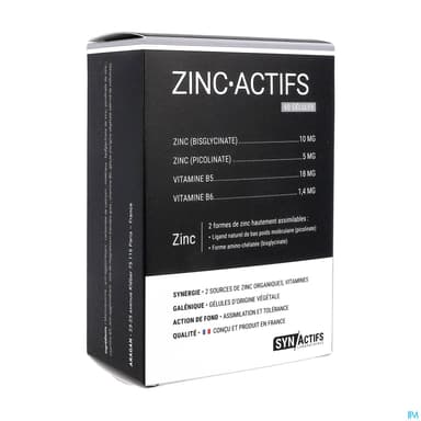 Synactifs Zinc Actifs Gelule 60