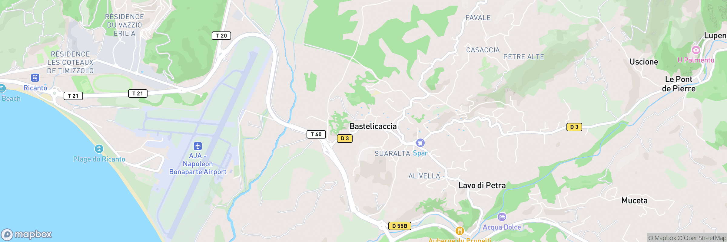 Bastelicaccia