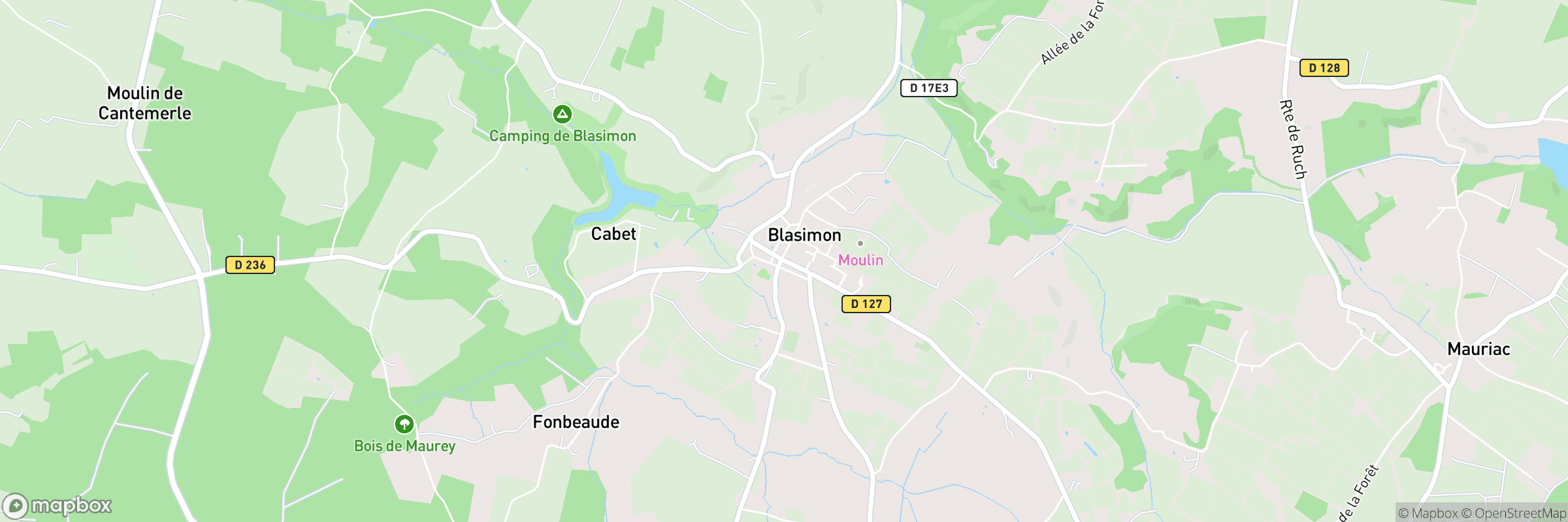 Blasimon