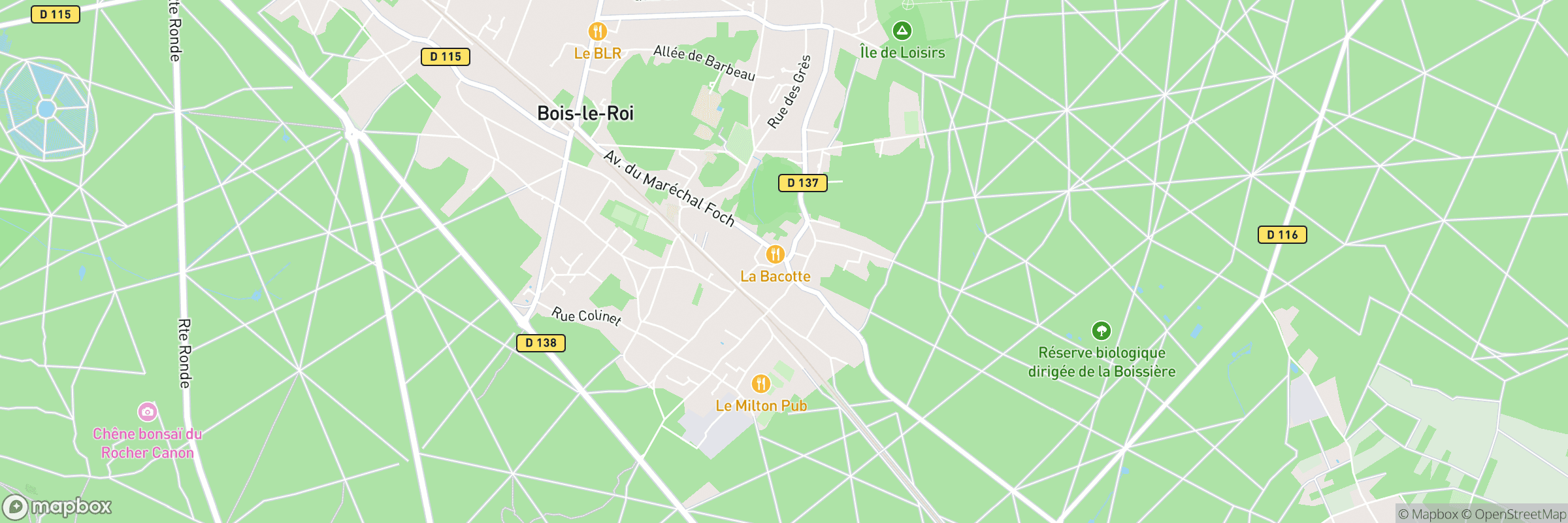 Bois Le Roi