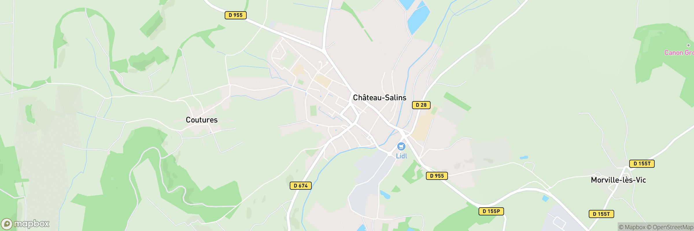 Chateau Salins