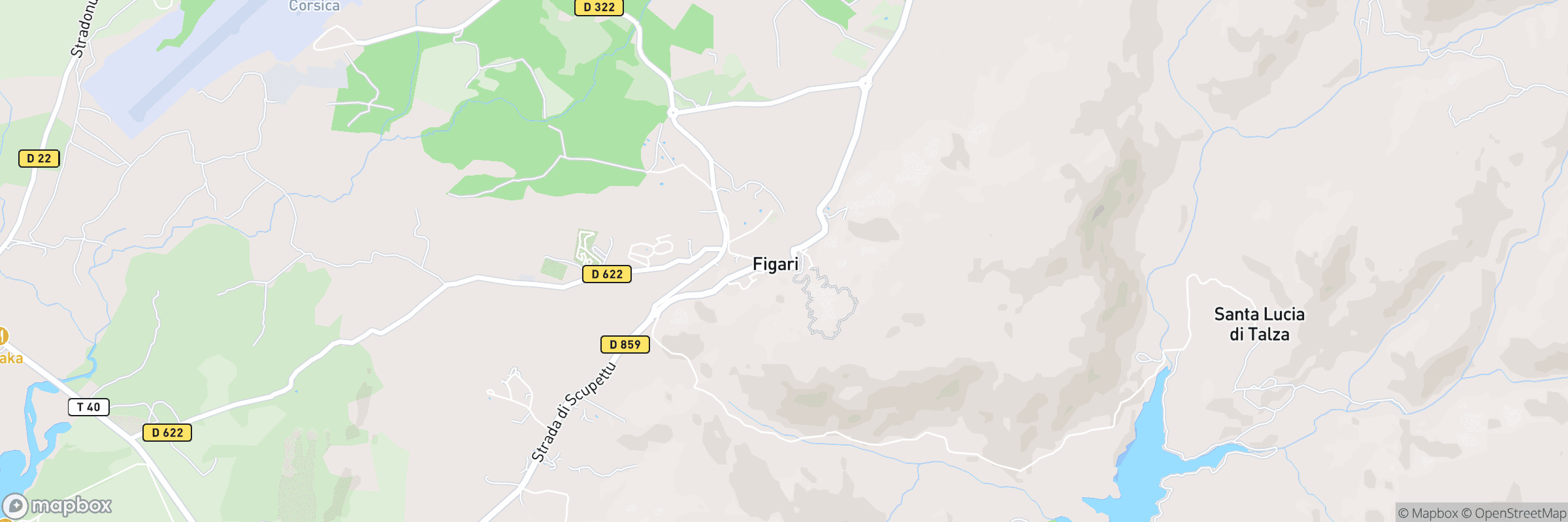 Figari
