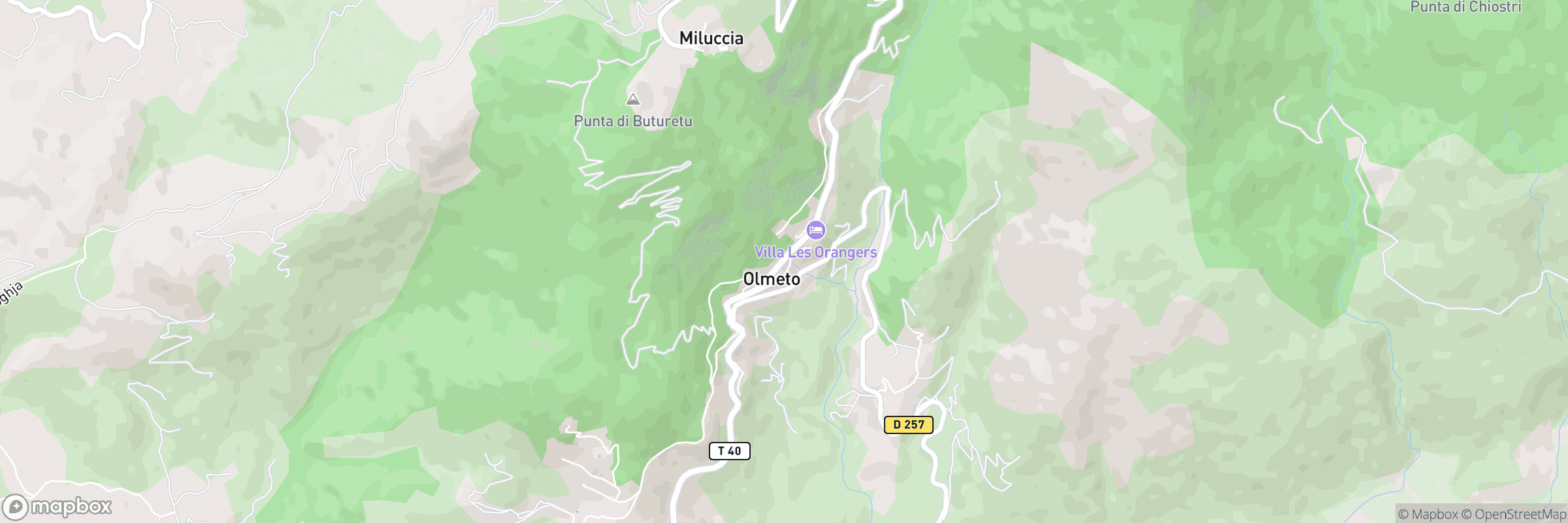 Olmeto