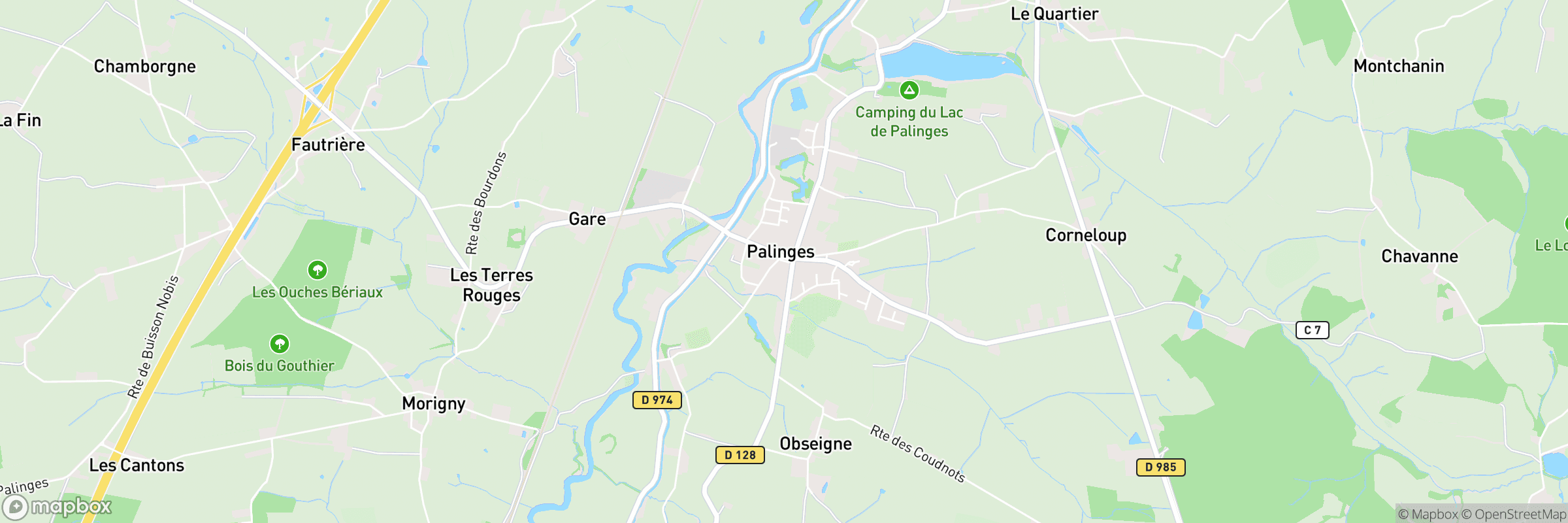 Palinges