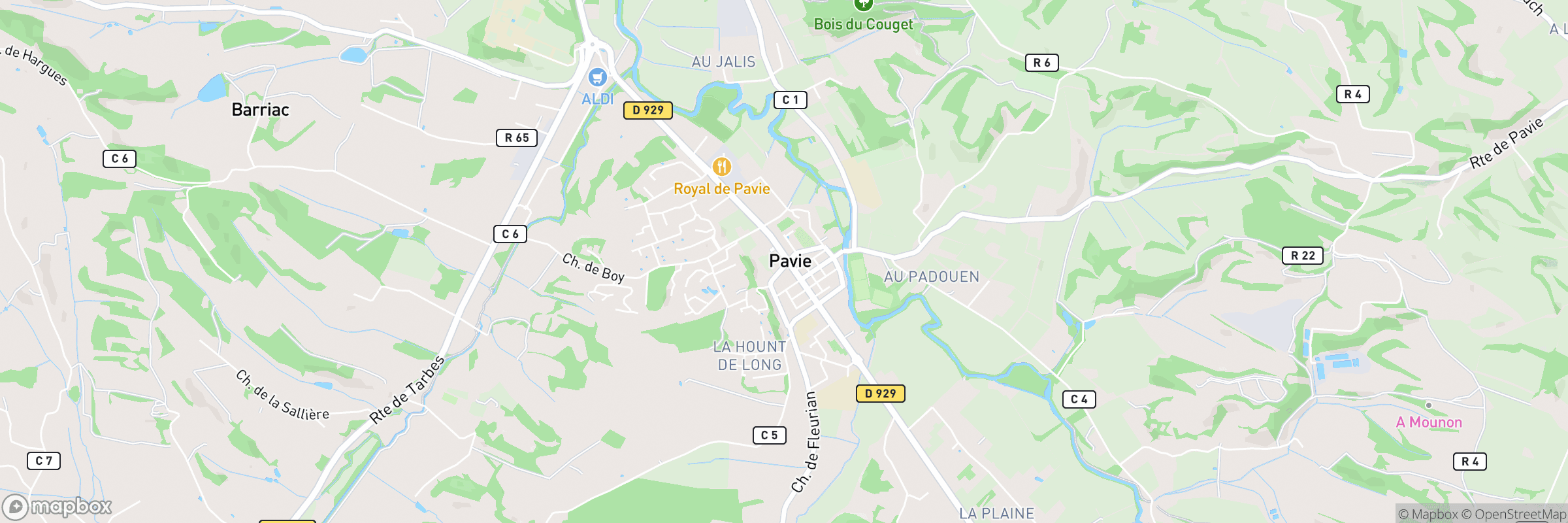 Pavie