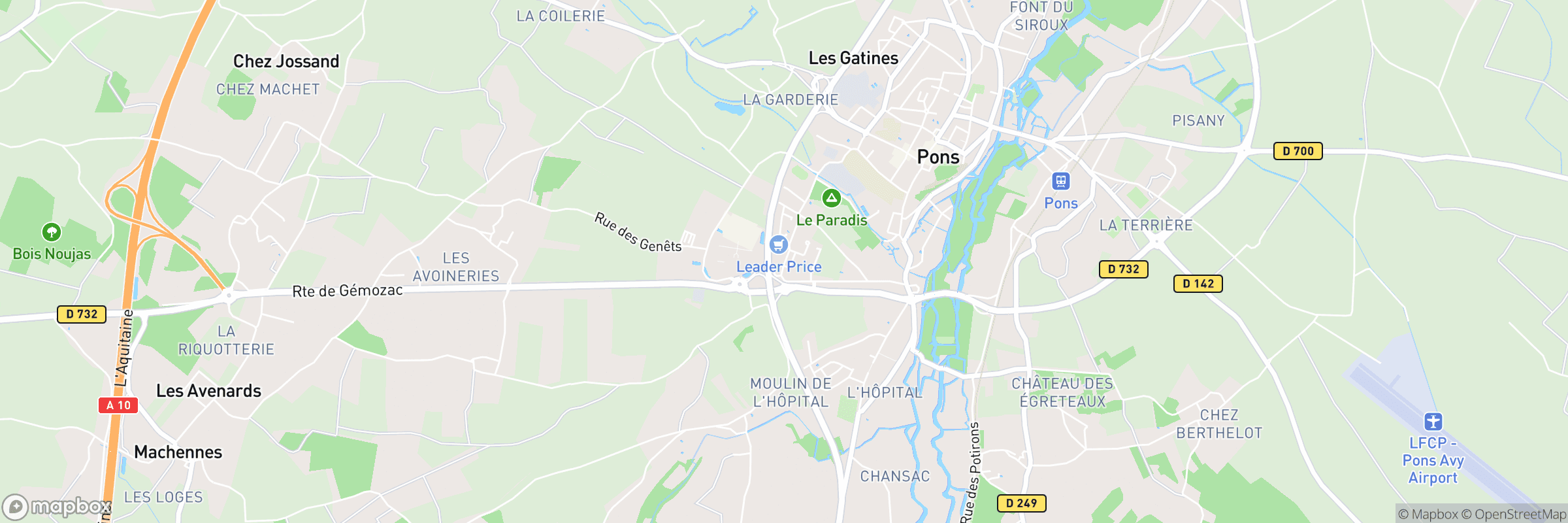 Pons