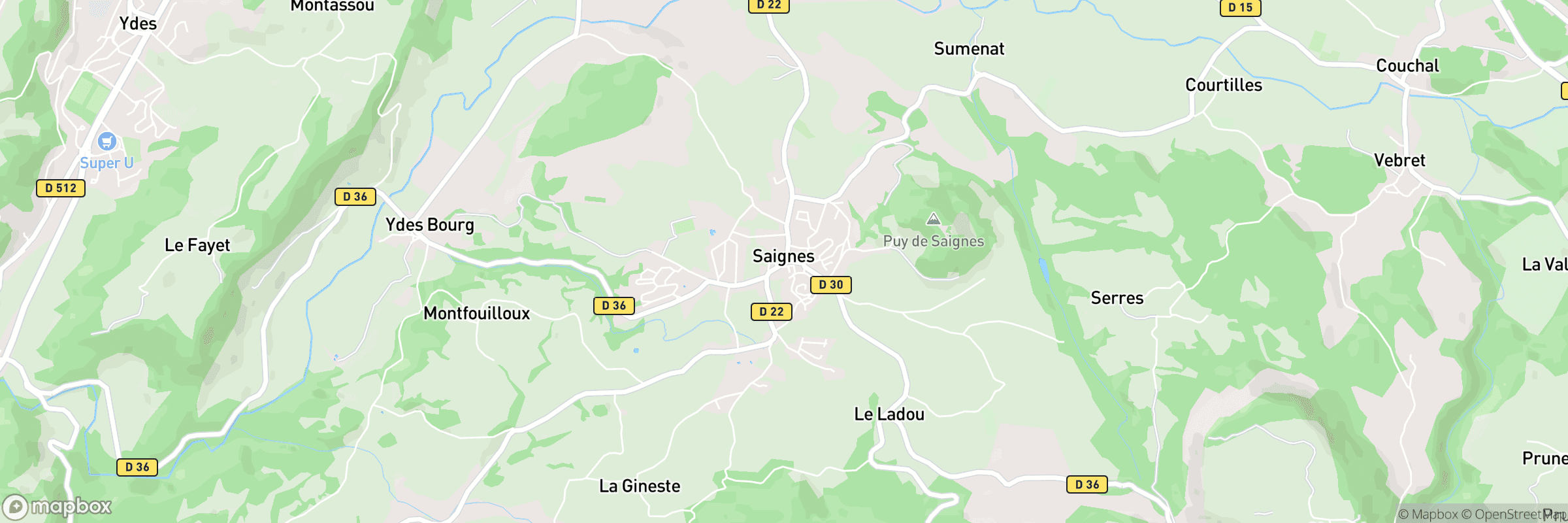 Saignes