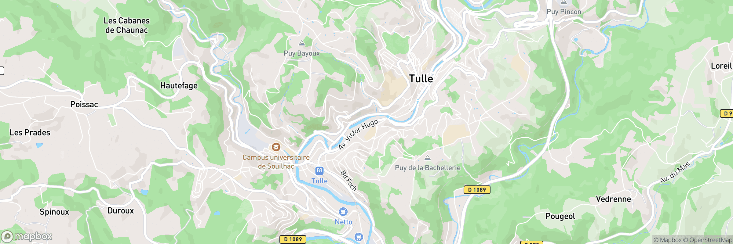 Tulle