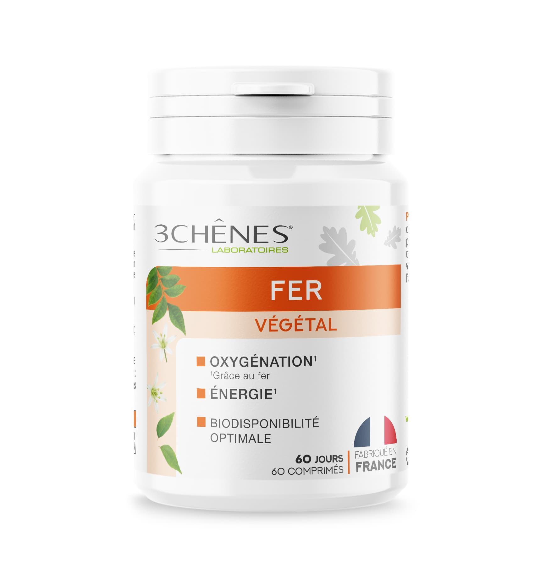 3 CHENES FER VEGETAL CPR 60 — Pharmacie foch - Cenon