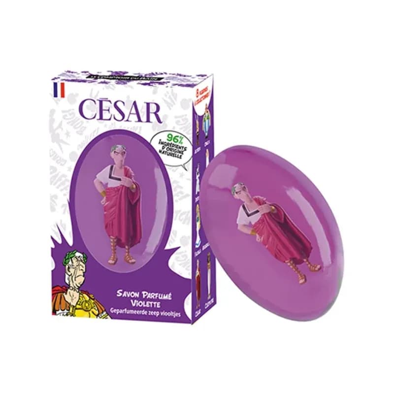 COMP BAIN SAV ASTERIX VIOLETTE 75G — Pharmacie Bourg Achard