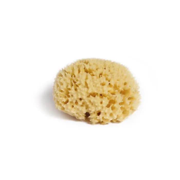 ALTESS EPONG MER 40804 — Pharmacie Rive Droite - Versailles