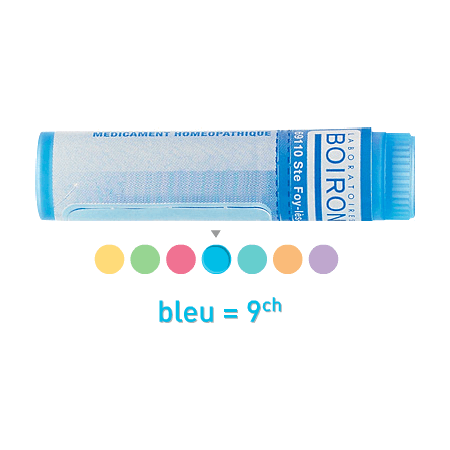 Boiron Mercurius Solub. 9ch Globules 1g — Pharmacie Comedie