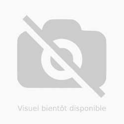 VICHY SANTE GOM MIEL CITRON