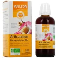 Weleda Epb Articulation Harpagophytum Bio 100ml