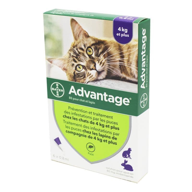 ADVANTAGE-80 CHAT/LAPIN PIPET 6 — Pharmacie Lafayette de Roubaix