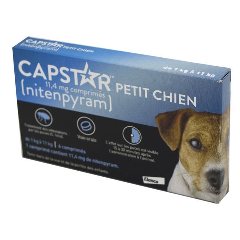 CAPSTAR PETIT CHIEN 11,4MG CPR 6 — Pharmacie Lillenium Lille by Nexum