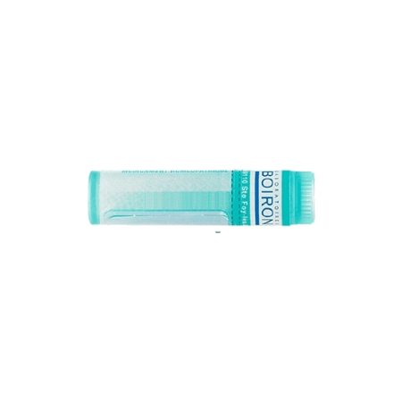 INFLUENZINUM 12CH DO GL B — Pharmacie Comedie