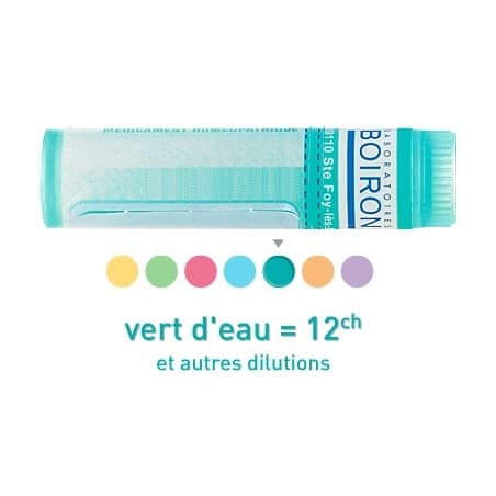 Boiron Phosphoric.acid. 12ch Globules 1g — Pharmacie du Maillon
