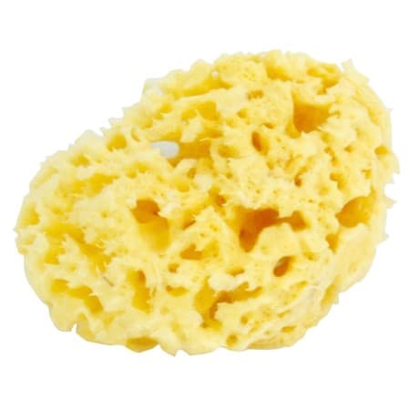 Petipouce Eponge Naturelle Mm