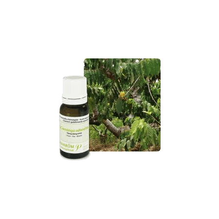 PRANAROM HE BIO YLANG-YLANG TOT5ML