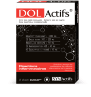 SYNACTIFS DOLACTIFS GELUL 15
