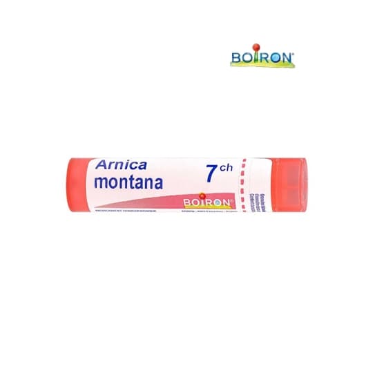 ARNICA MONTANA 7CH TG B — Pharmacie Bettan Paris