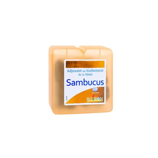 REGLISSE SAMBUCUS BOIRON PATE 70G — Pharmacie Tocaven - Bordeaux