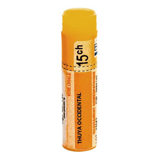 THUYA OCCIDENT. 15CH DO GL B — Pharmacie du Maillon