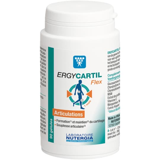 ERGYCARTIL FLEX GELUL 90 — Pharmacie Du Village Santé