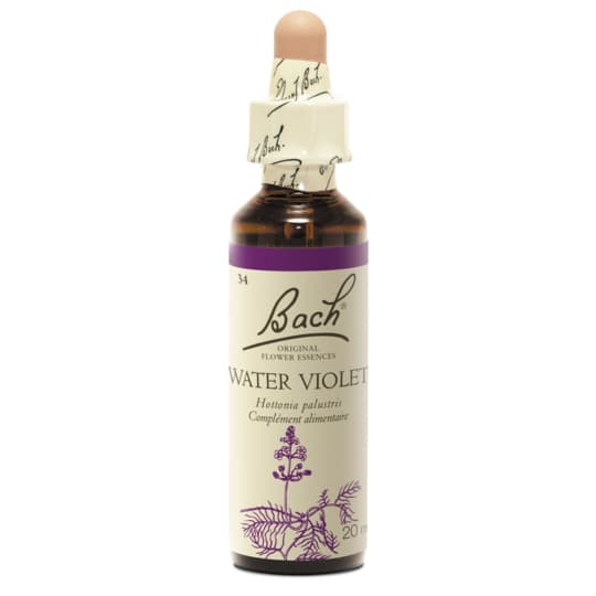 Fleurs de bach original fleur de bach water violet n°34 - 20 ml — Pharmacie Pharmavance Colombes