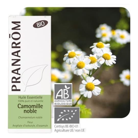 PRANAROM HE BIO CAMOMILLE NOB 5ML — Pharmacie Rollin Centre