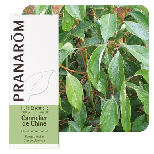 Pranarôm huile essentielle cannelier de chine - 10 ml — Pharmacie de Bois Lemaitre - Marseille