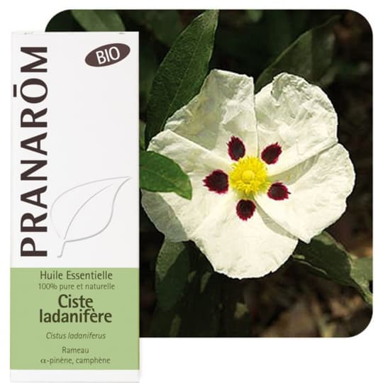 PRANAROM HE BIO CISTE LADANIF 5ML — Pharmacie de la Rocade - Annecy