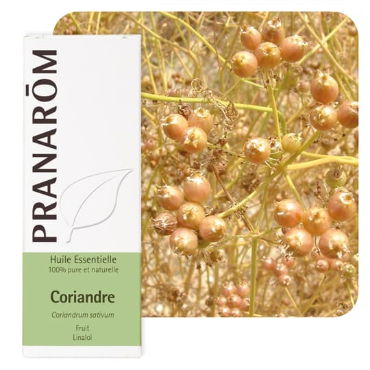Pranarôm huile essentielle coriandre - 10 ml — Pharmacie Pessac Arago