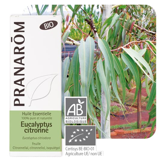 PRANAROM HE BIO EUCALYPT CITR 10ML — Pharmacie Pharmagreen Boucicaut