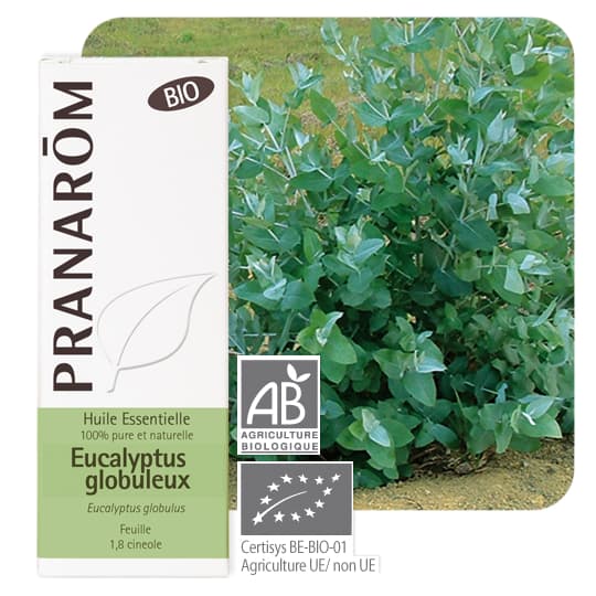 PRANAROM HE BIO EUCALYPT GLOB 10ML — Pharmacie Sainte-honorine / la cité