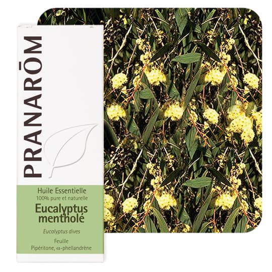 PRANAROM HE EUCALYPT MENTHOLE 10ML — Pharmacie Dehaene