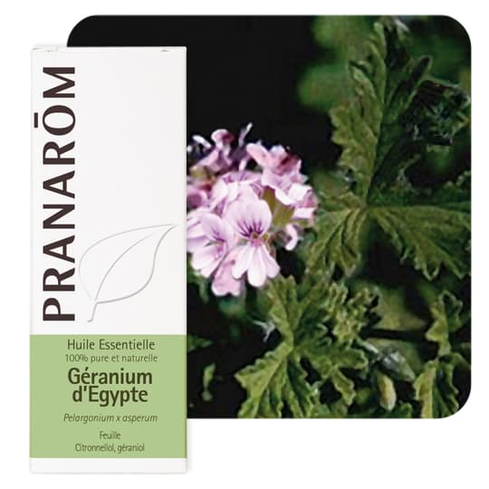 Pranarôm huile essentielle géranium d'egypte - 10 ml — Pharmacie Maritime