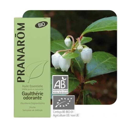 PRANAROM HE BIO GAULTHER ODO 10ML — Pharmacie Pharmagreen Boucicaut
