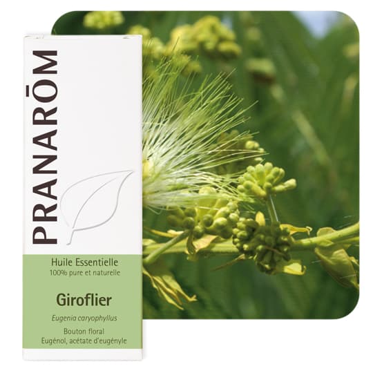 Pranarôm huile essentielle giroflier - 10 ml — Pharmacie Pessac Arago