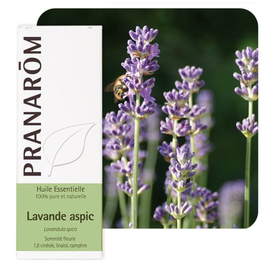 PRANAROM HE LAVANDE ASPIC 10ML — Pharmacie du Parc