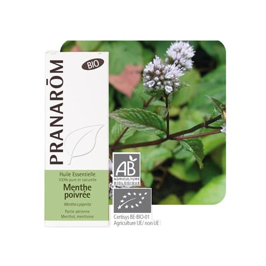 PRANAROM HE BIO MENTHE POIVREE 5ML — Pharmacie Rollin Centre