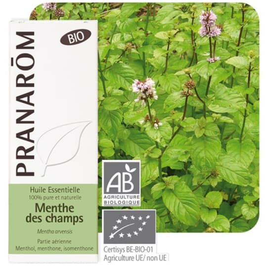 PRANAROM HE BIO MENTHE CHAMPS 10ML — Pharmacie Sainte-honorine / la cité