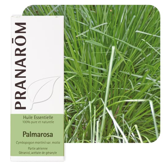 Pranarôm huile essentielle palmarosa - 10 ml — Pharmacie des Rives du Cher