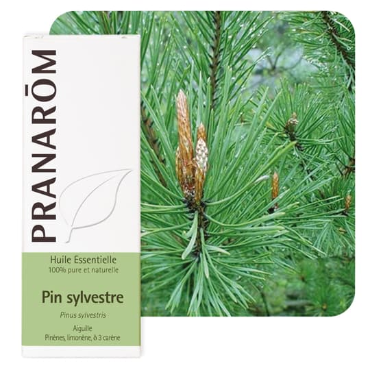 Pranarôm huile essentielle pin sylvestre - 10 ml — Pharmacie de Venoix