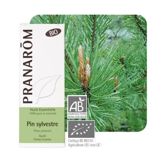 PRANAROM HE BIO PIN SYLVESTRE 10ML — Pharmacie Comedie